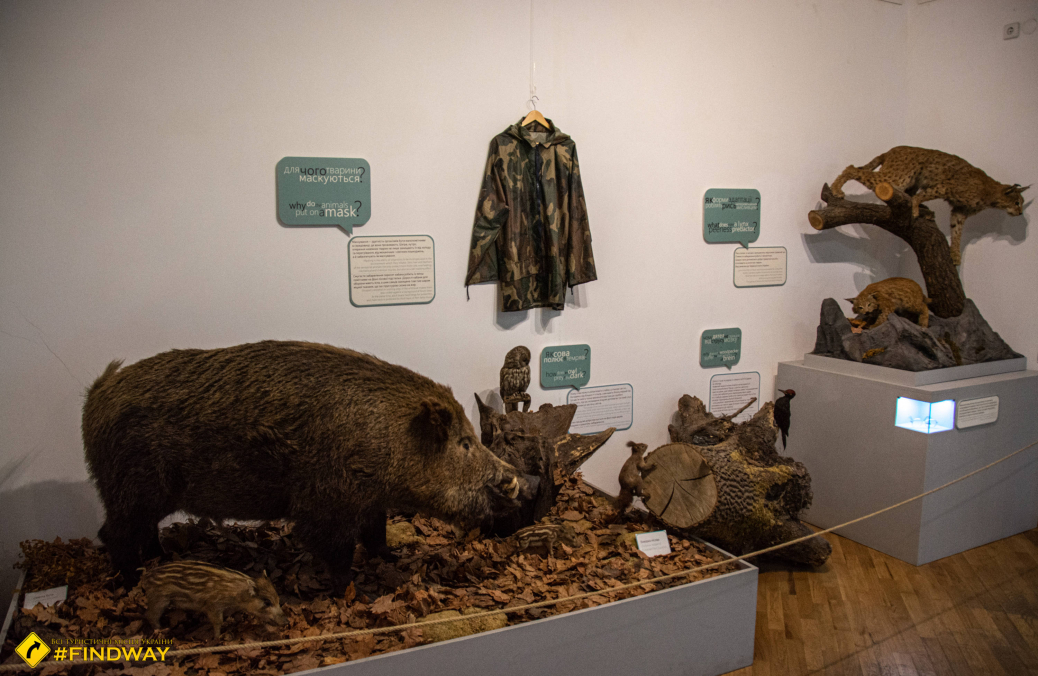 Museum of Nature, Lviv