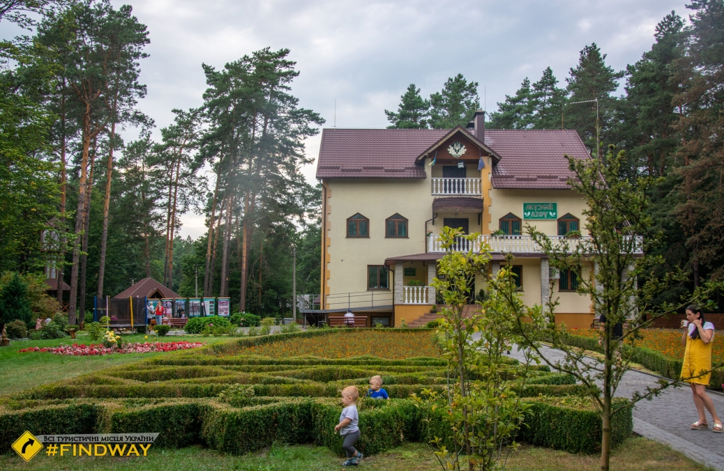 Музей лісу, Костопіль