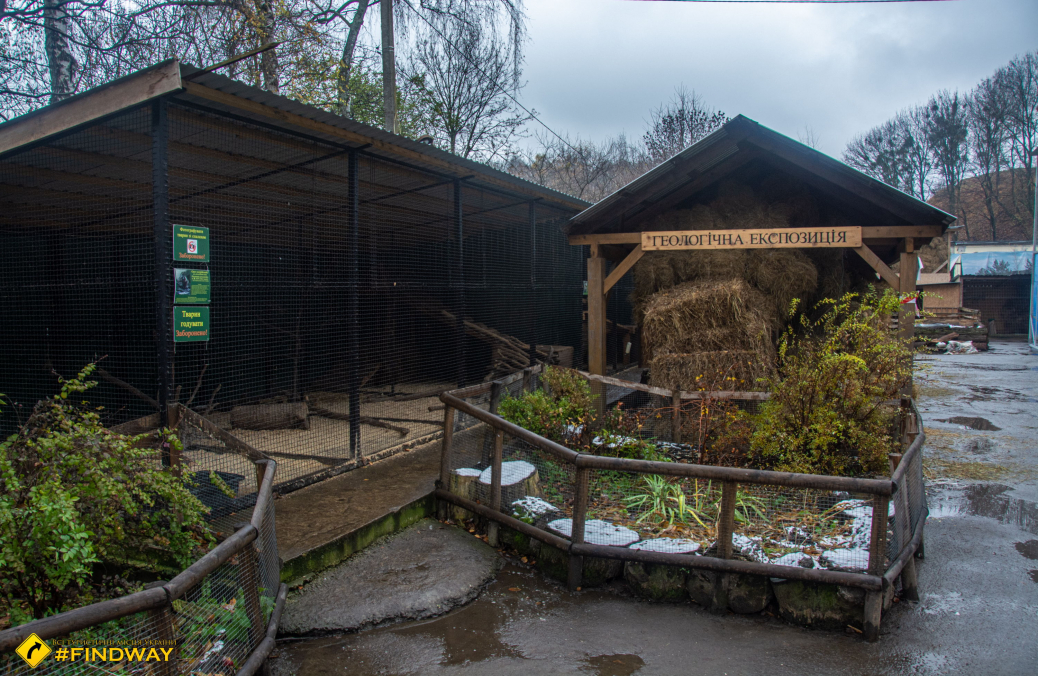 Зоопарк спасенных животных, Львов