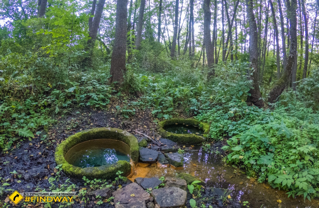 Sources with"alive" and "dead" water, Lyubotin