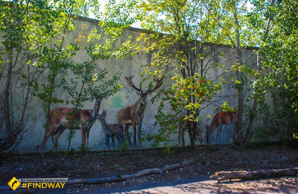 Графіті міста Прип'ять