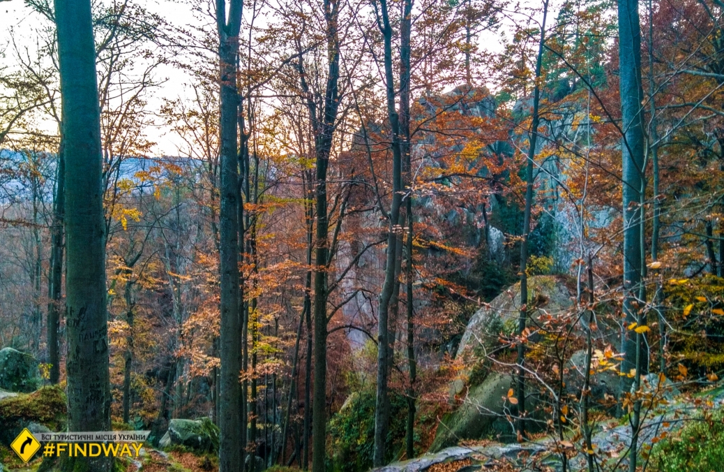 Скелі Довбуша, Поляницький ландшафтний парк