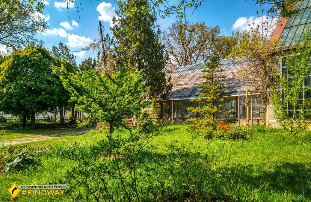 Botanical Garden of Karazin University, Kharkiv