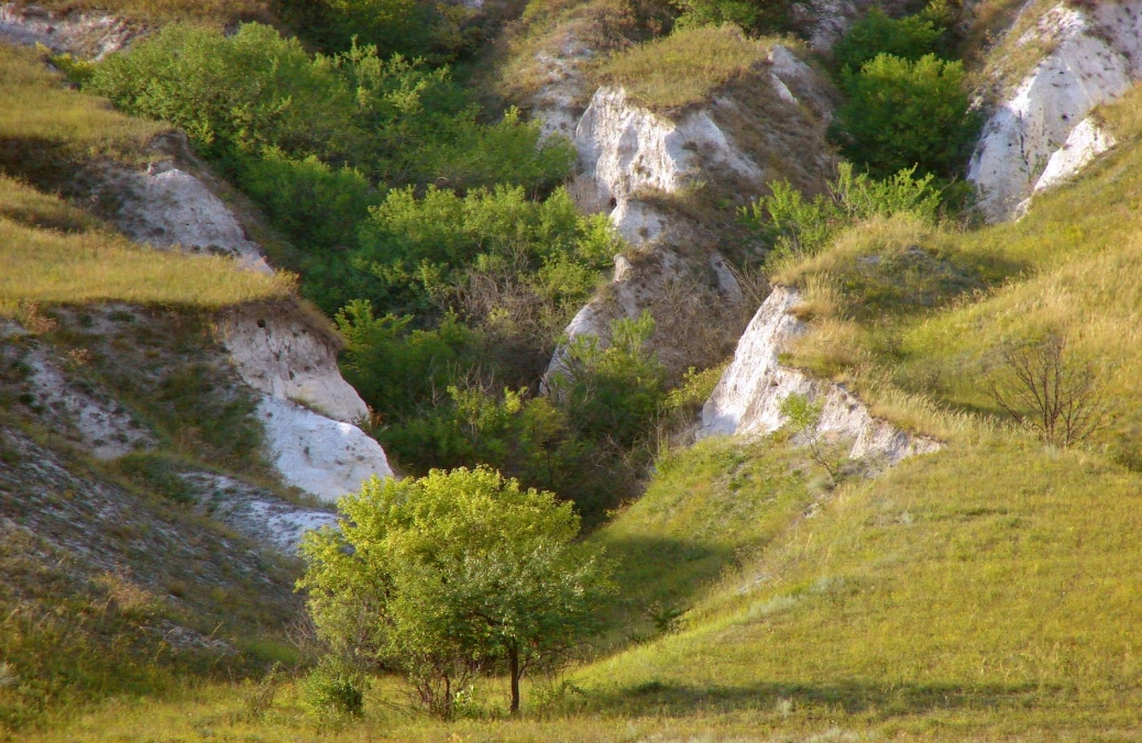 крейдяні гори дворічанського району, харківська область Цікаві місця України куп'янськ