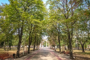 City garden, Mariupol