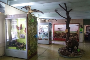 Краєзнавчий музей, Маріуполь