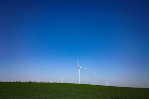 Ochakiv wind power plant (Windmill park Ochakivsky), Dmitrovka