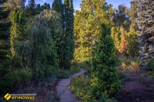 Botanical Garden, Kryvyi Rih