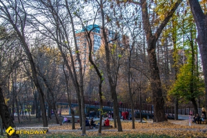 Ботанічний сад «Саржин яр», Харків