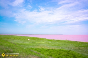 Lemurian Lake (Sivash Lake), Grigorivka