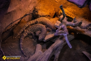 Cherkasy Zoo