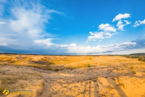 Олешківські піски, Українська пустеля