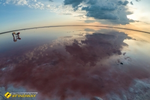 Рожеве озеро (Генічеське озеро), Арабатська стрілка, Генічеськ