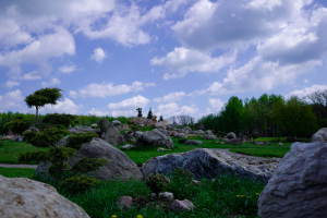 Парк каменів, Харків