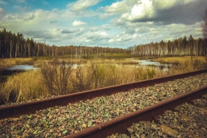 Заброшенная железная дорога Припять-Овруч