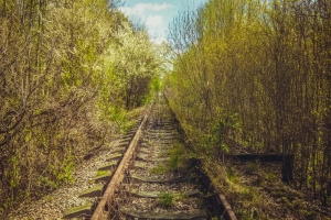 Заброшенная железная дорога Припять-Овруч