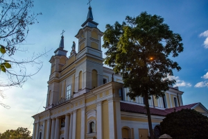 Кафедральный костел Святой Софии, Житомир