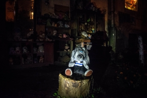 Yard of lost toys, Lviv