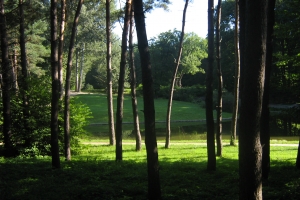 Дендрологічний парк «Софіївка» (Софіївський парк), Умань