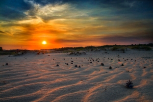 Кицевская пустыня «Бугристые пески»