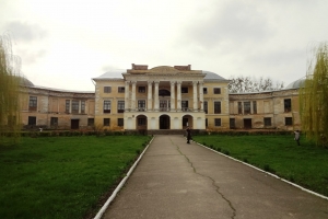 Палац Можайського, Вороновиця