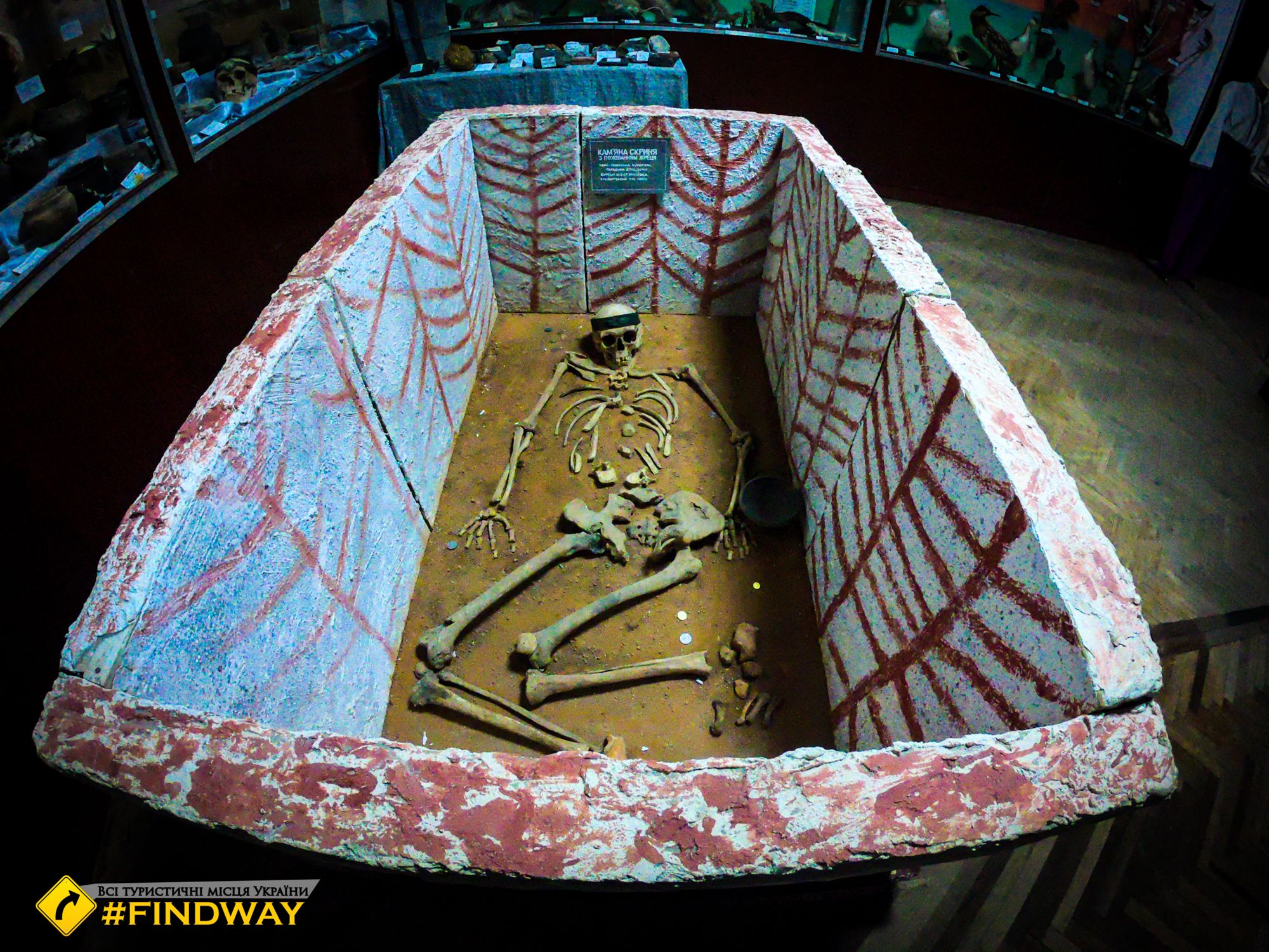 цікаві музеї кривого рогу терновська філія краєзнавчого музею фото кривий ріг секелет стародавнє поховання